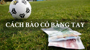 cách bào cỏ bằng tay