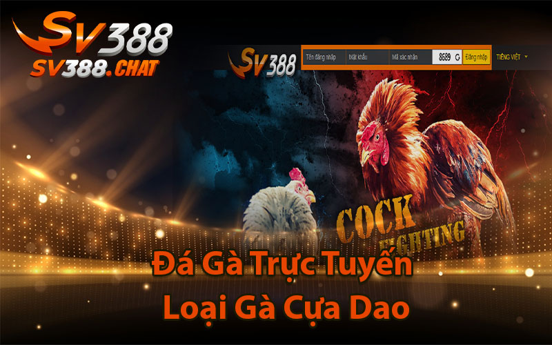 Đá gà cựa dao Sv388