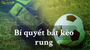 bí quyết bắt kèo rung